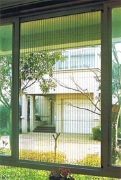 LIPAT-INSECT-SREEN-palembang
